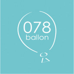 Nieuwe website: 078ballon.nl