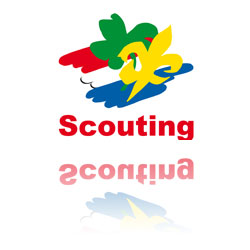 Scouting